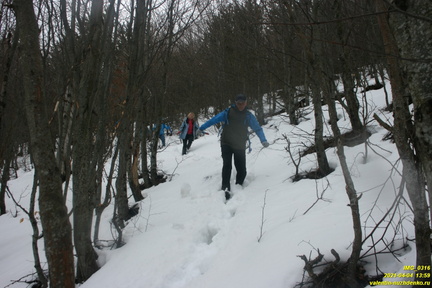 Путь от поляны с бульдозерным ножом к роднику Сказка Верхний