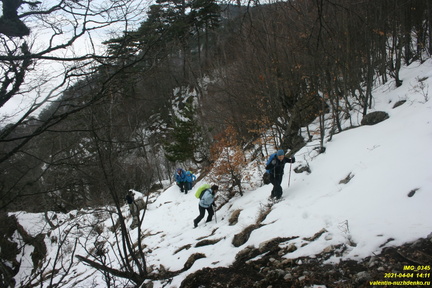 Верхняя часть старых горельников. Урочище Сказочное.
