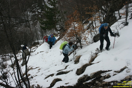 Верхняя часть старых горельников. Урочище Сказочное.