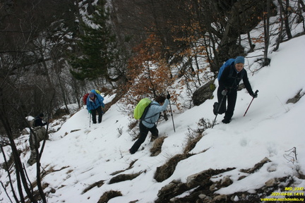 Верхняя часть старых горельников. Урочище Сказочное.