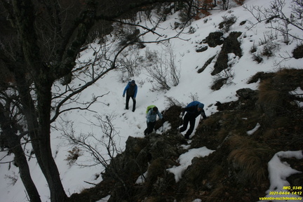 Верхняя часть старых горельников. Урочище Сказочное.