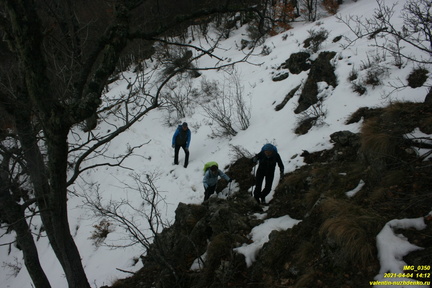 Верхняя часть старых горельников. Урочище Сказочное.