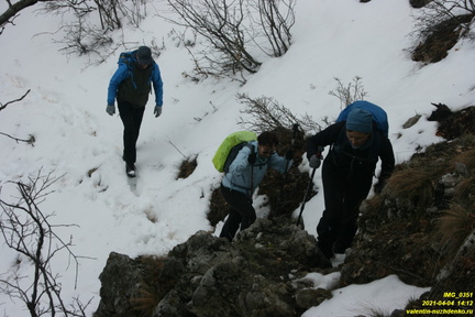 Верхняя часть старых горельников. Урочище Сказочное.