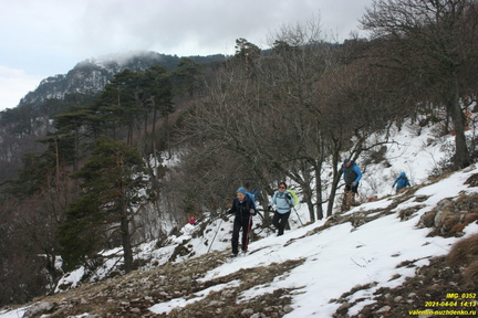 Верхняя часть старых горельников. Урочище Сказочное.