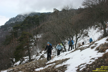 Верхняя часть старых горельников. Урочище Сказочное.