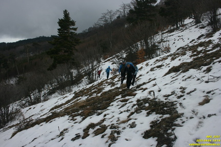 Верхняя часть старых горельников. Урочище Сказочное.