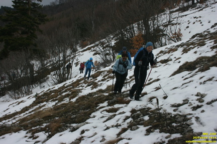 Верхняя часть старых горельников. Урочище Сказочное.