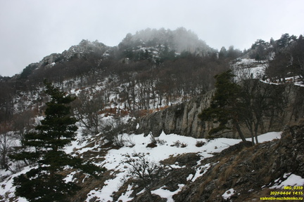 Верхняя часть старых горельников. Урочище Сказочное.