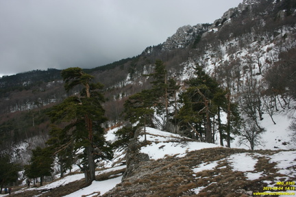 Наклонная полка от ур. Сказочное
