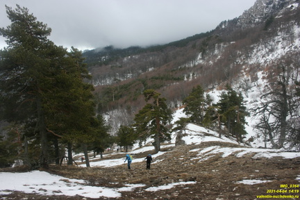 Наклонная полка от ур. Сказочное