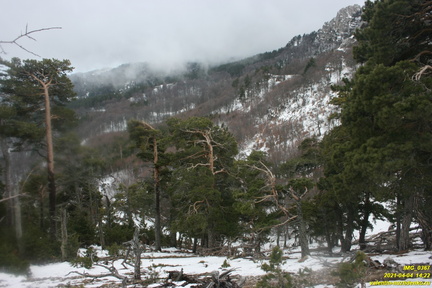 Наклонная полка от ур. Сказочное