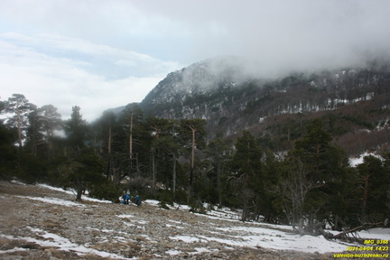 Наклонная полка от ур. Сказочное
