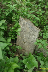IMG 0715
