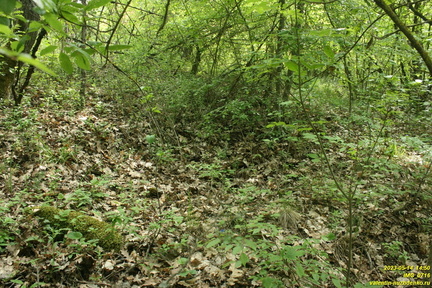 IMG 0716