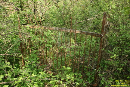IMG 0721
