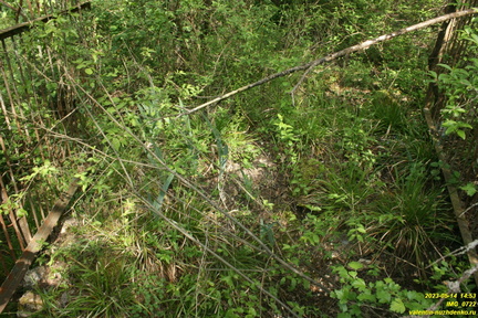 IMG 0722