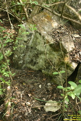 IMG 0723
