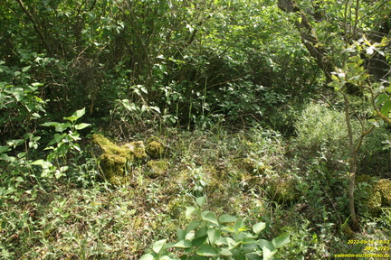 IMG 0725