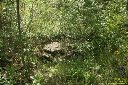IMG 0726