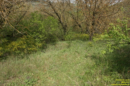 IMG 0727