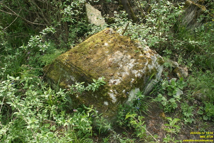 IMG 0728