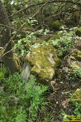 IMG 0730