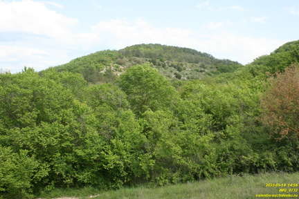 IMG 0732