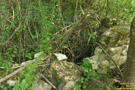 IMG 0733