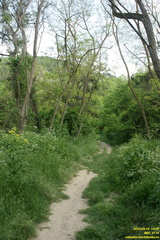 IMG 0735