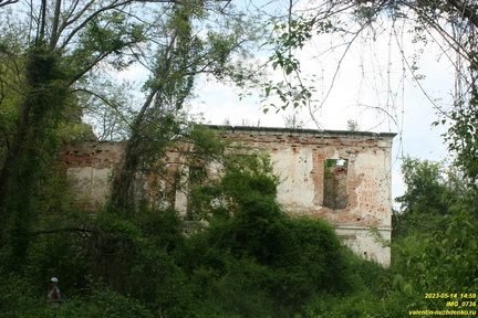 IMG 0736