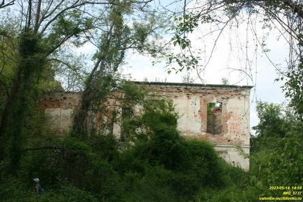 IMG 0737