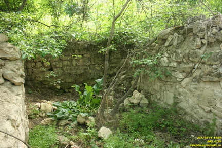 IMG 0739