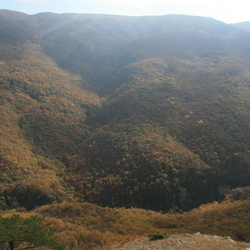 Алмалых-Узень. Общие виды