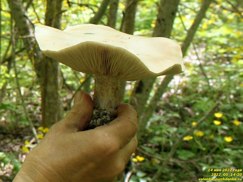 2022_05_14-20.jpg