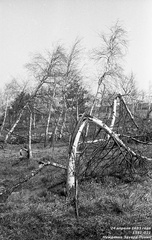 Северная Демерджи (Демирджи)