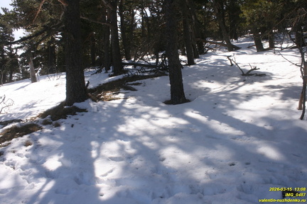 Хатмерлер. Ров и вал в верховьях оврага. Никитская яйла
