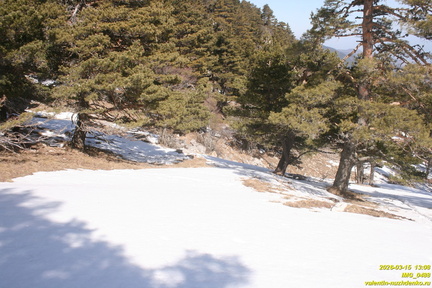 Хатмерлер. Ров и вал в верховьях оврага. Никитская яйла