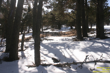 Хатмерлер. Ров и вал в верховьях оврага. Никитская яйла