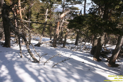 Хатмерлер. Ров и вал в верховьях оврага. Никитская яйла
