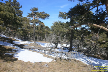Никитская яйла