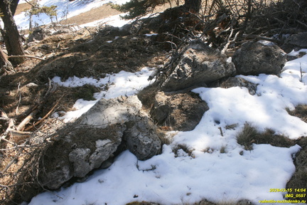 Никитская яйла