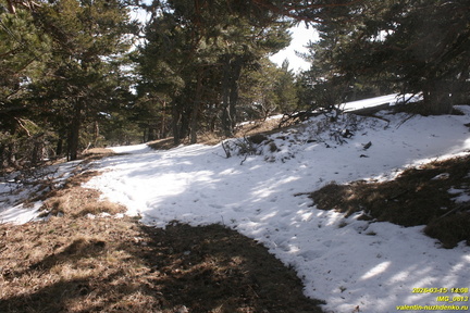 Никитская яйла