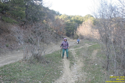 IMG 0850