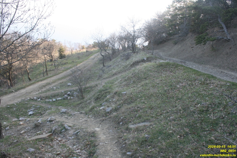 IMG_0851.JPG