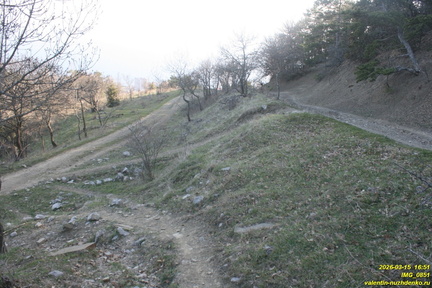 IMG 0851