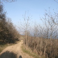 IMG 0852