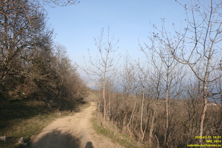 IMG 0852