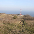 IMG 0854