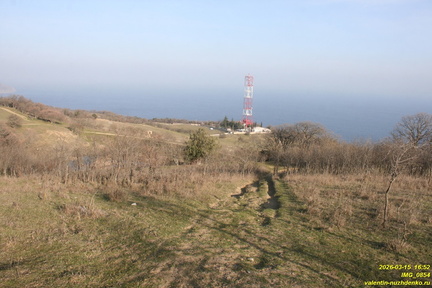 IMG 0854