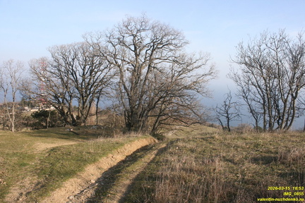 IMG 0855
